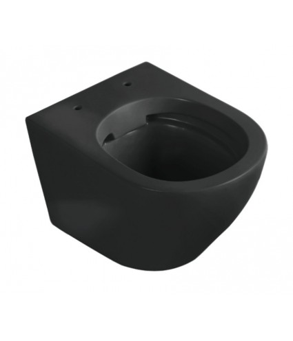 WC SET: Vorwandelement C201 + Toilette Slim Soft-Close Delos Schwarz + Schallschutzmatte + Betätigungsplatte in Golden