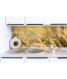 Granitspüle 2-Becken DAFNE Beige 47x78 | inkl. Siphon!